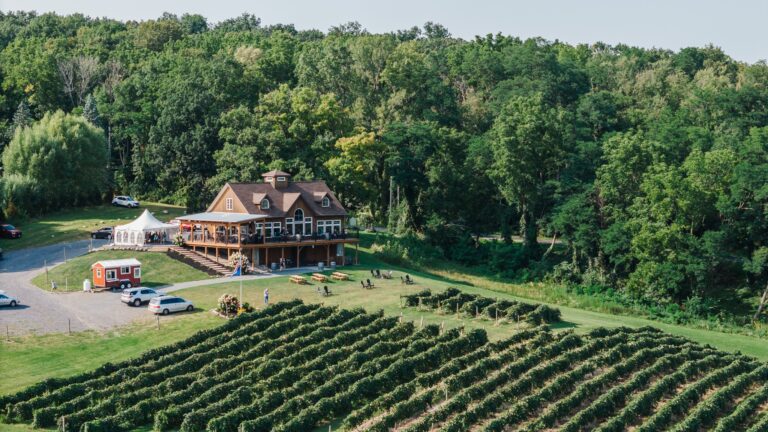 vineyardviewwinery4 768x432